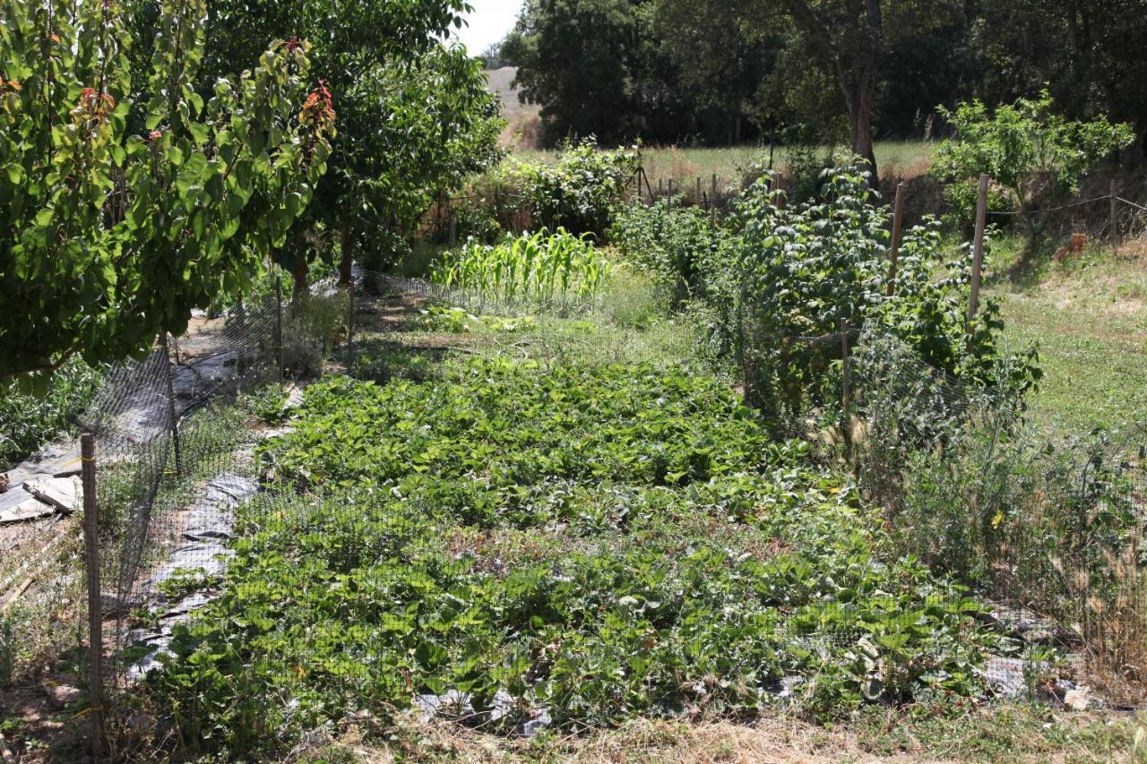 Can Cabanyes Llagostera Buitenkant foto